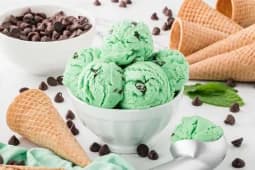 Mint Ice Cream with Chocolate Chips