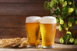 6-pack of domestic beer